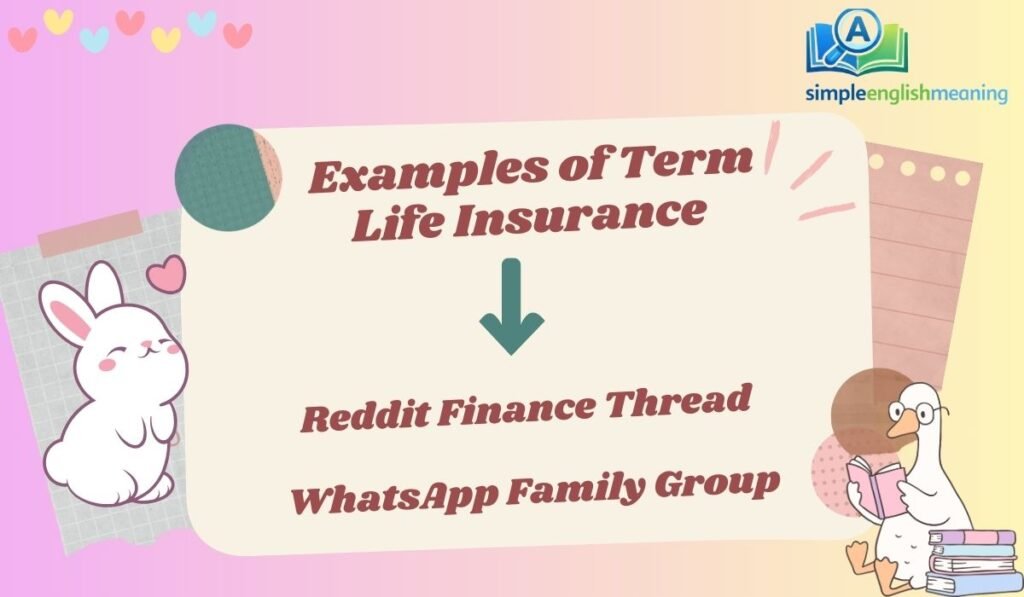  Examples of Term Life Insurance