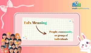 Folx Meaning