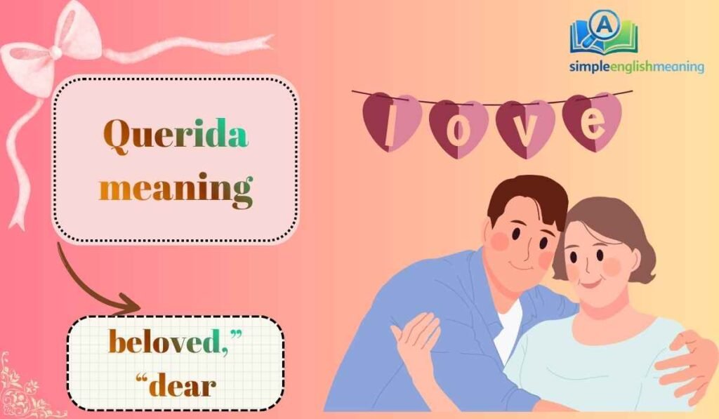 Querida meaning