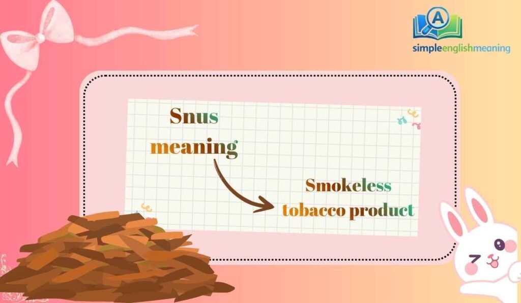Snus meaning