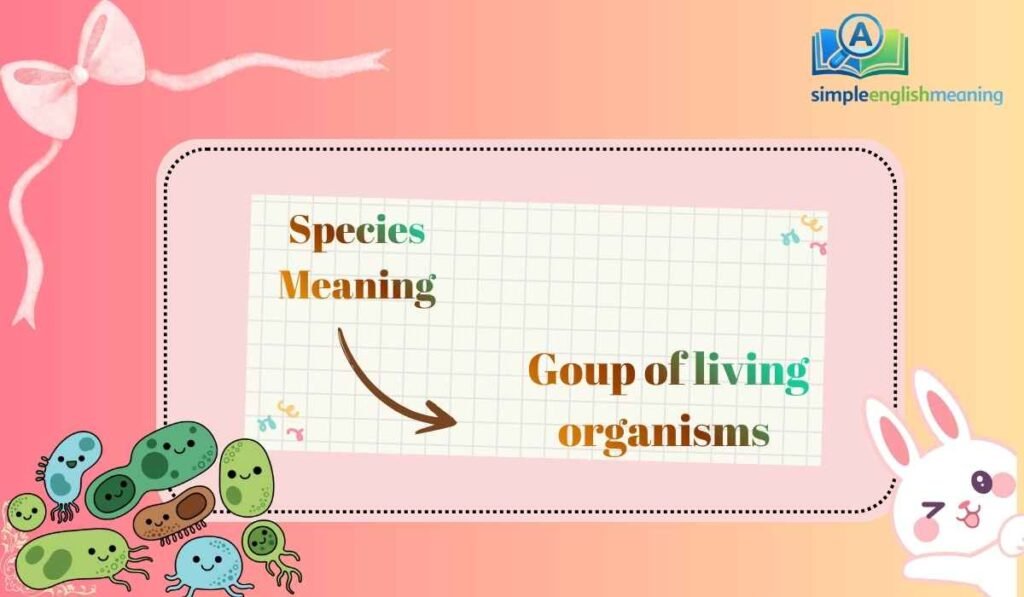 Species Meaning
