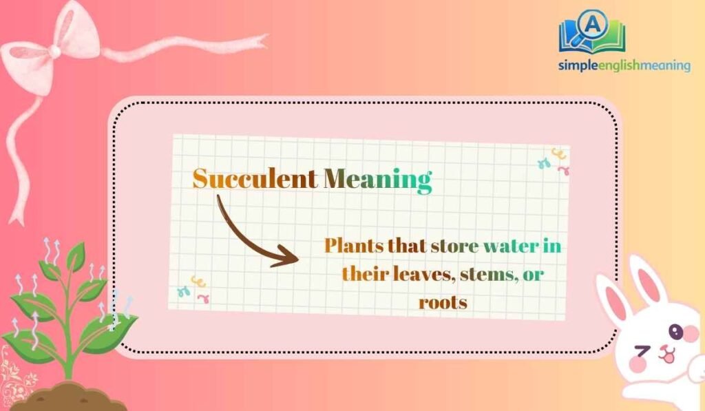 Succulent Meaning